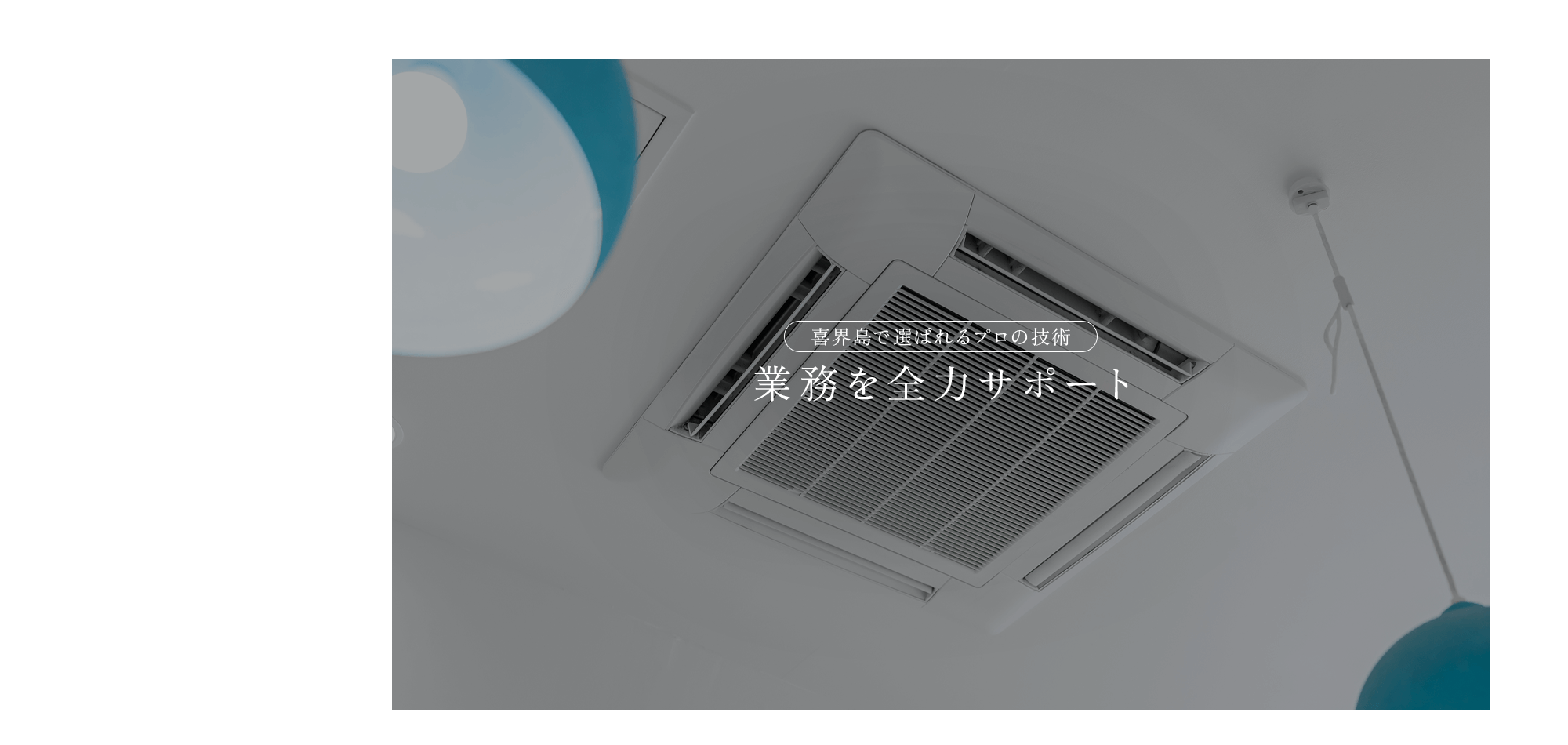 喜界島で選ばれるプロの技術 。業務を全力サポート